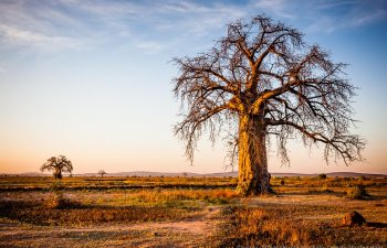 Tansania – Sonne, Sand und Dschungelfieber
